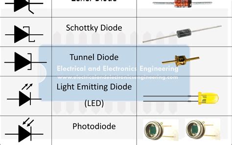 20 Types of Diodes - Diode Characteristics and Practical Applications ...