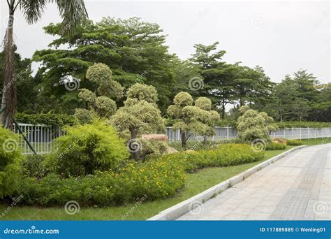 Landscapes Design on Roadside Guangzhou Stock Image - Image of roade, agriculture: 117889885