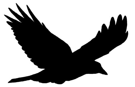 Bird flight Bird flight Common raven Clip art - birds silhouette png download - 1694*1094 - Free ...