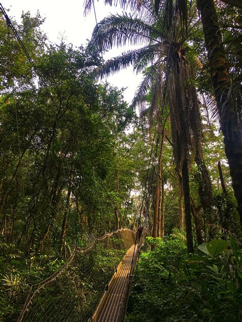 Lekki Conservation Centre