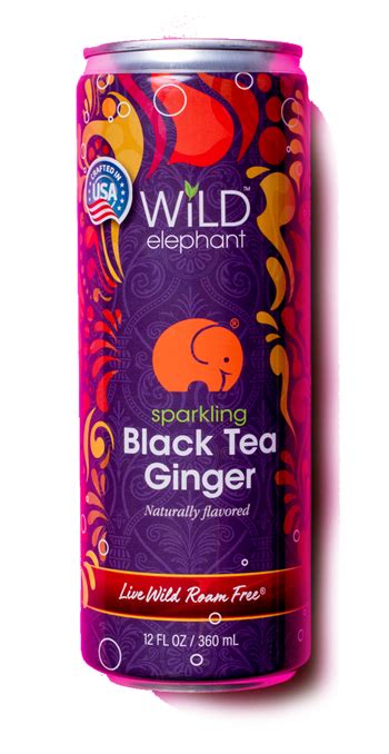 Sparkling Black Tea Ginger – 6 Pack – elephantea