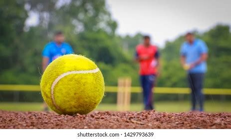 438 Cricket Tennis Ball Stock Photos, Images & Photography | Shutterstock