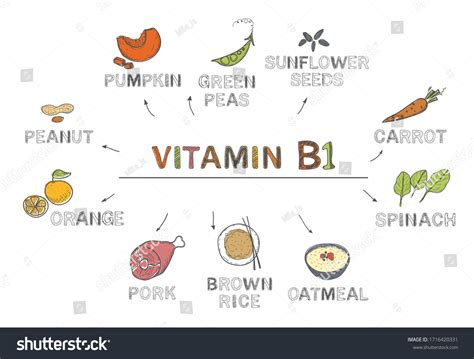 Vitamin B1 Thiamine Foods Rich B1 Stock Vector (Royalty Free ...