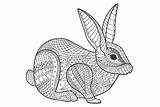 Zentangle Colouring Pages In The Playroom Home Printables Activity  sketch template