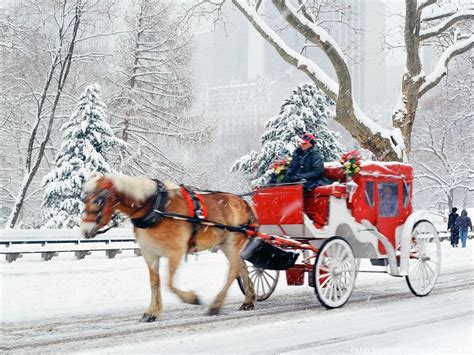 Carriage Ride | New york christmas, Nyc christmas, Winter scenes