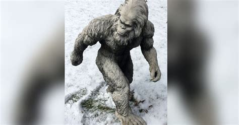 Could new research finally establish true identity of the mysterious Yeti?