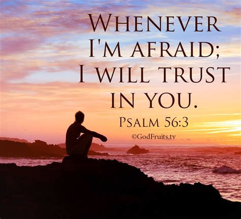 Whenever I am afraid, I will trust in you. Psalm 56:3 | Psalms, Bible encouragement, Biblical quotes