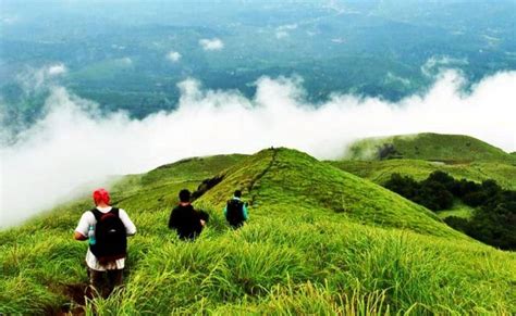 Discover Wayanad [ID-525809] - Find Travel Agents in Wayanad Kerala India