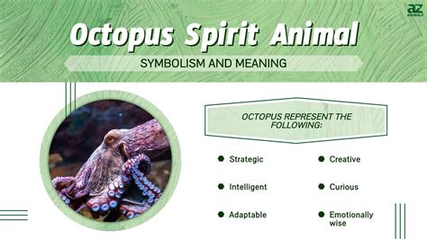 Octopus Spirit Animal Symbolism and Meaning - A-Z Animals