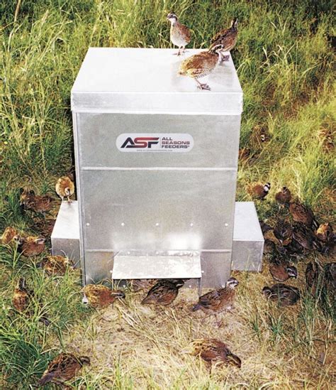 All Seasons Quail Feeder - Ultramatic Feeders