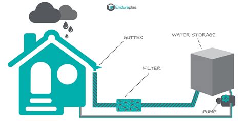 Ultimate Guide To Harvesting Rainwater In 2023