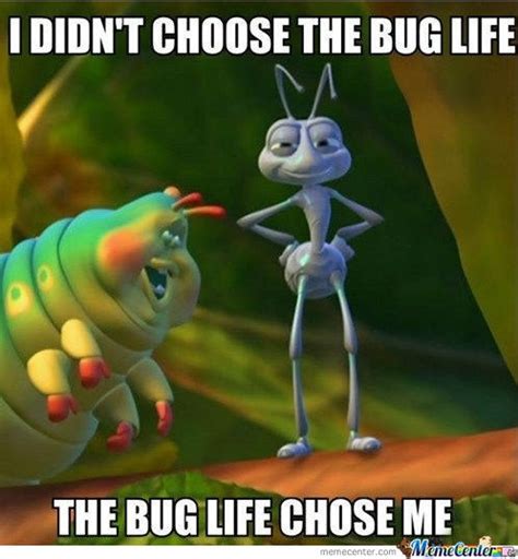 1000+ images about Bug Funnies on Pinterest | Roaches, The fly and ...