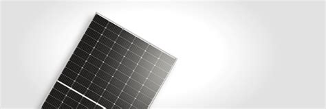 LONGi Hi-MO 4 Solar Module Review | Solar Analytica.