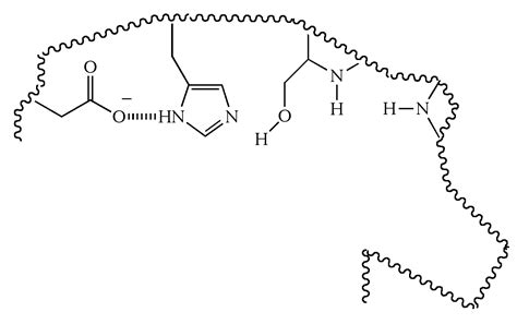 Illustrated Glossary of Organic Chemistry - Serine protease