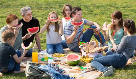 8 Innovative Picnic Ideas - Pure Leisure News and Tips