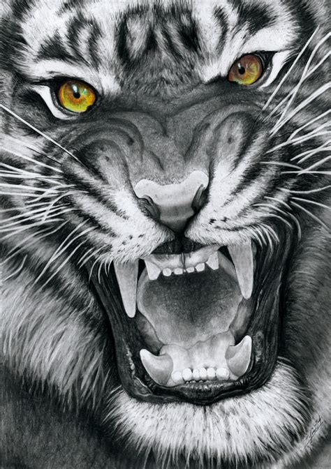 Snarling Tiger by Yankeestyle94 on DeviantArt | Animal drawings, Tiger ...