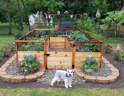 DIY Dog Fence Ideas and Installation Tips: 6 Best Cheap Designs