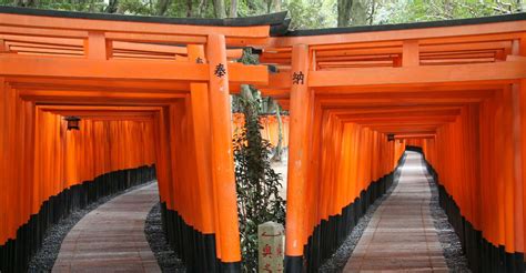 Kyoto, Full-Day Best UNESCO and Historical Sites Bus Tour - SuiteTrails