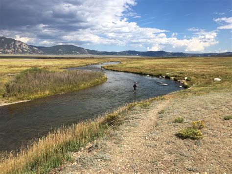 Great weekend fly fishing at the South Platte River, Colorado, USA : r ...