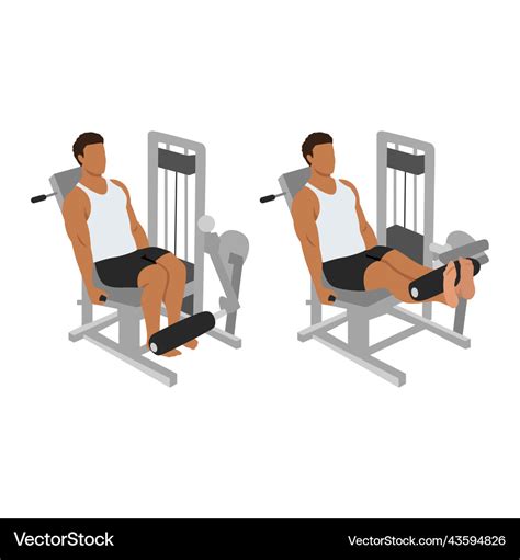 Man doing leg extension on machine exercise Vector Image