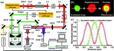 Resolution improvement in STED super-resolution microscopy at low power using a phasor plot ...