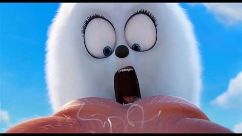 Secret Lives Of Pets Gidget The Secret Life Of Pets 2 â€“ ðÿ ‰ - asapadvisorygroup