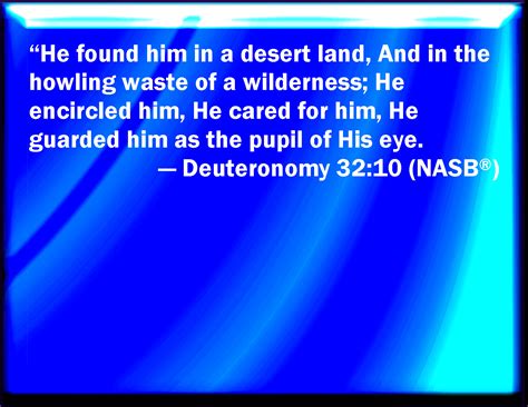 Deuteronomy 32:10 He found him in a desert land, and in the waste howling wilderness; he led him ...