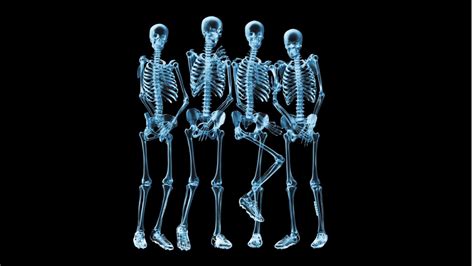 Funny skeletons naked - HD wallpaper