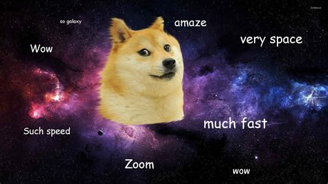 Doge Meme Wallpapers - Top Free Doge Meme Backgrounds - WallpaperAccess