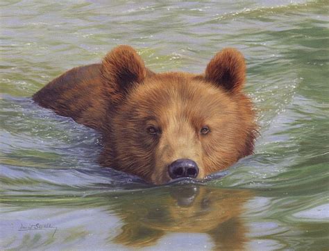 Brown Bear Painting Painting by David Stribbling