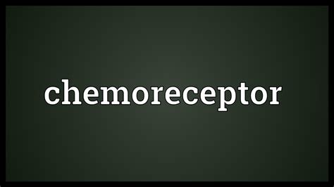 Chemoreceptor Meaning - YouTube