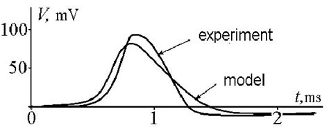 Comparison of the action potential experimentally observed in the giant ...