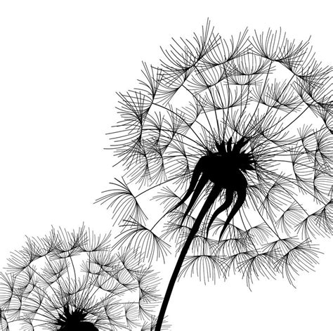 Dandelion Printable - Printable Word Searches