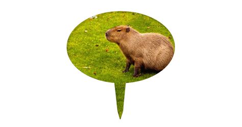 Capybara Cake Topper | Zazzle