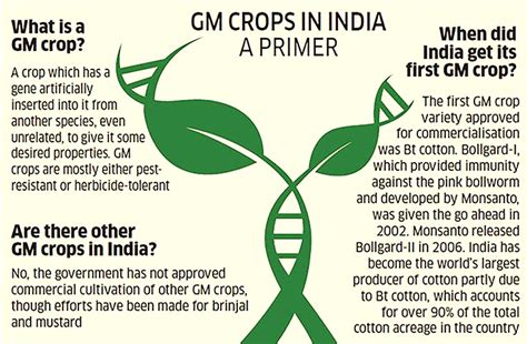 Genetically Modified (GM) Crops