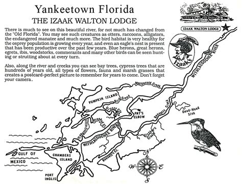 Yankeetown Fishing Guides Yankeetown Fl Charter Fishing Reports Kayak ...