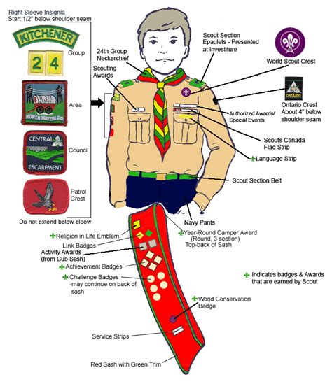 Scout Uniform | Scout, Scout uniform, Boy scout uniform