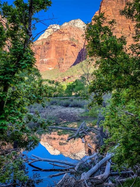 The Grotto Trail in Zion National Park - Family Can Travel