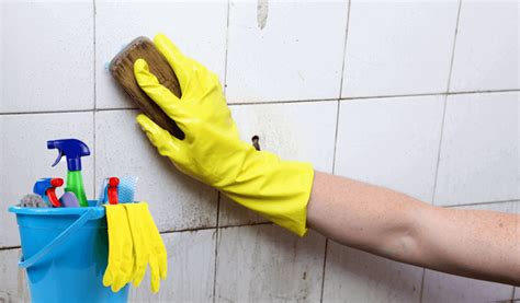 Top 6 Reasons To Wear Cleaning Gloves You Must Know - GlovesMag