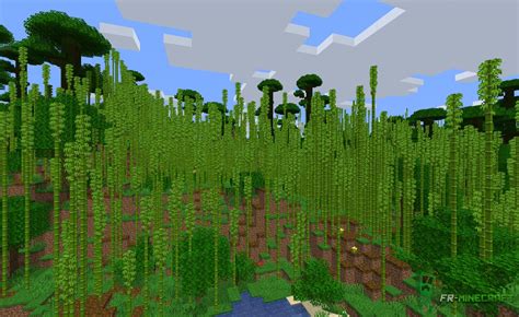 ⛏️ FR-Minecraft Biome Collines de jungle de bambous