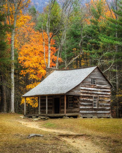 Cabin In The Woods Photograph by Charlie Choc