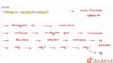 What is denitrification?