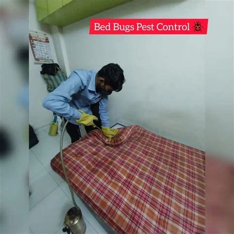 Bed Bugs Pest Control Services at Rs 2 in Thane | ID: 2851113982048