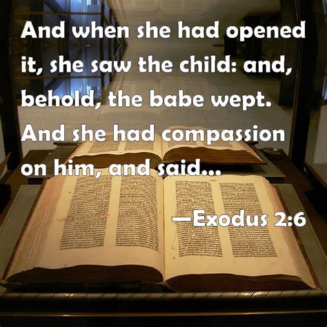 Exodus 2:6 And when she had opened it, she saw the child: and, behold ...