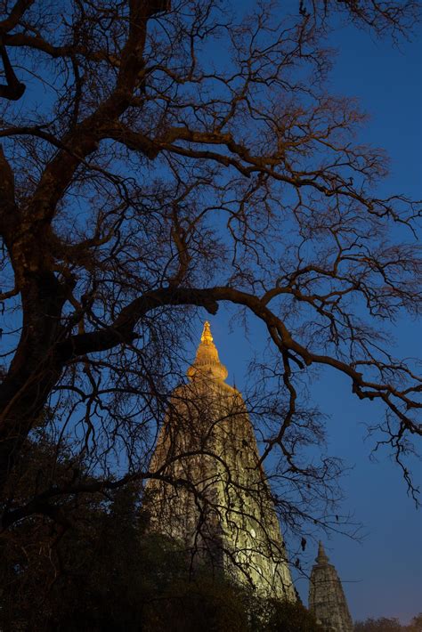 Night Shot. Mahabodhi temple 9588072 Stock Photo at Vecteezy