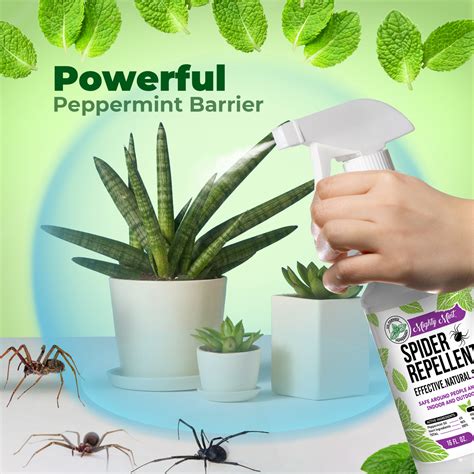 Spider Repellent Peppermint Spray - 16 oz – Pure Origin Products