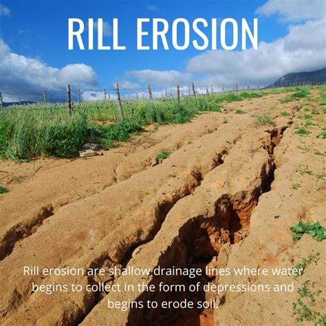 Soil Erosion Definition Process Types Causes Effects Method | The Best ...