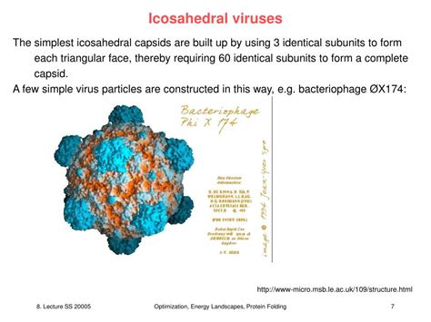 PPT - V8: Virus Structure and Assembly PowerPoint Presentation, free ...