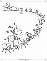 100  Ant Coloring Pages Free PDF To Print Woo Coloring sketch template