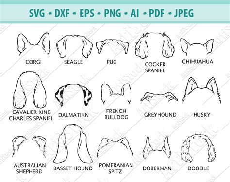 Beagle Ears Tattoo, Pug Tattoo, Wolf Tattoo, Tattoo Art, Silhouette ...